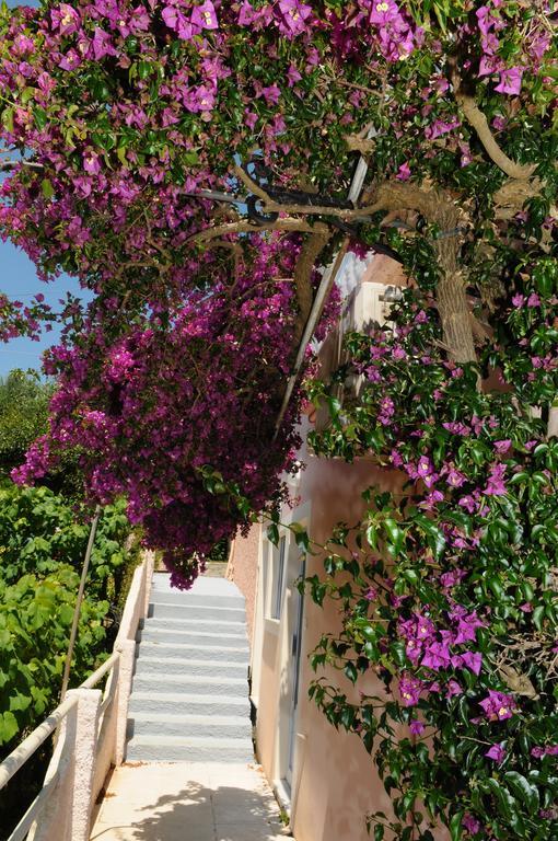 Apostolos & Eleni Family Apartments Perama  Dış mekan fotoğraf