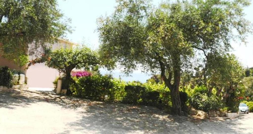 Apostolos & Eleni Family Apartments Perama  Dış mekan fotoğraf