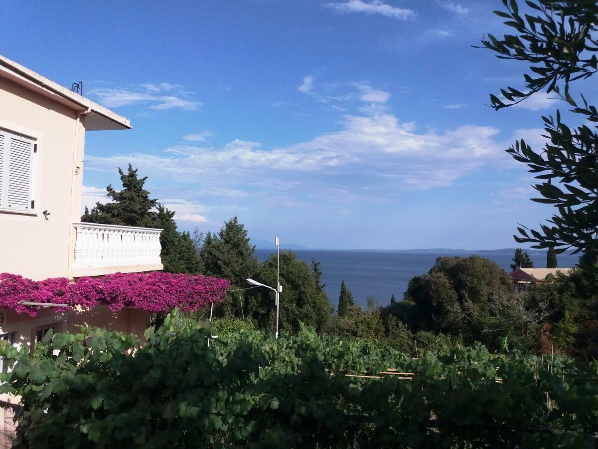 Apostolos & Eleni Family Apartments Perama  Dış mekan fotoğraf